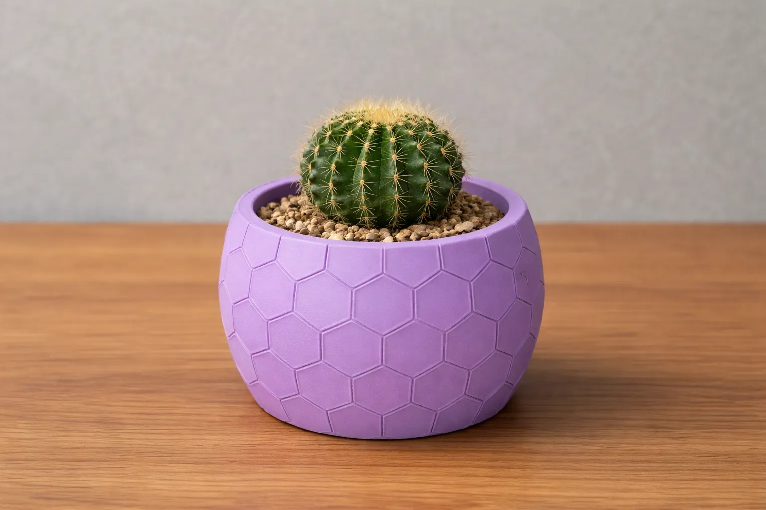 Honeycomb Hexagon Planter