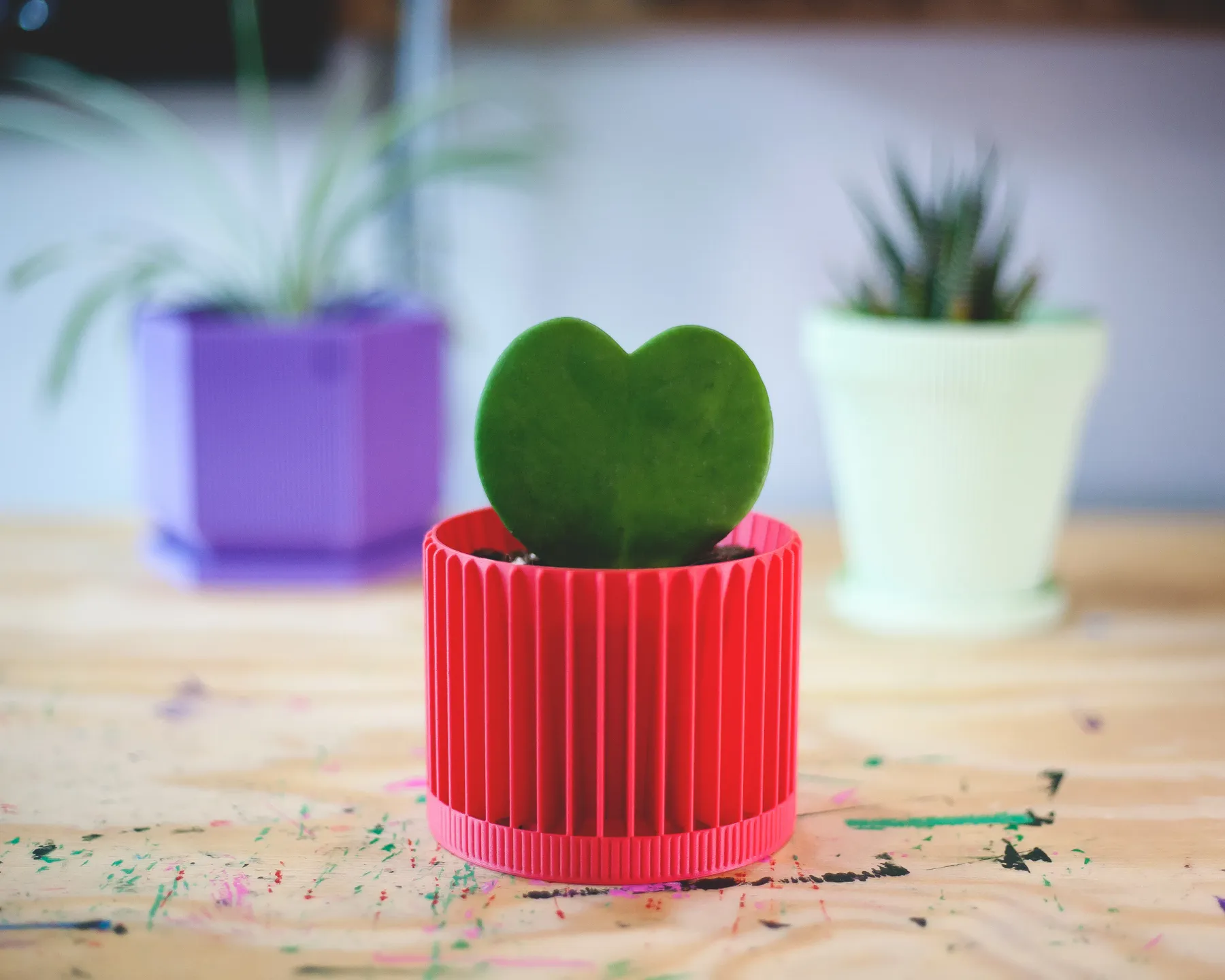 Small Succulent Planter (Vase Mode)